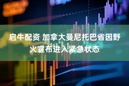 启牛配资 加拿大曼尼托巴省因野火宣布进入紧急状态