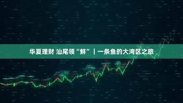 华夏理财 汕尾领“鲜”｜一条鱼的大湾区之旅